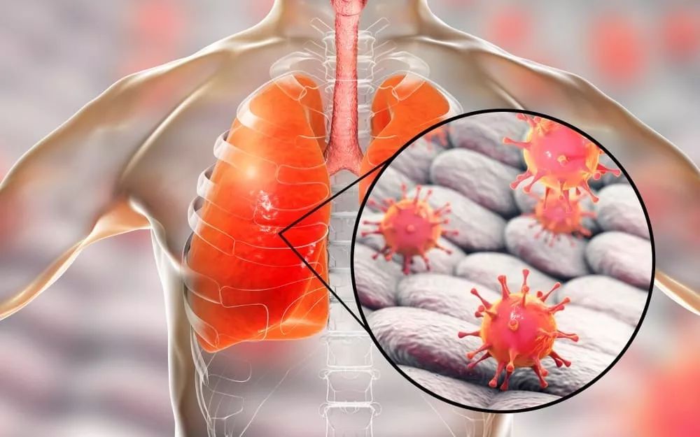 关键时刻全明星赛焦点战，阿贾克斯强势反弹，气氛紧张，医务组通报恢复(热刺vs阿贾克斯次回合)