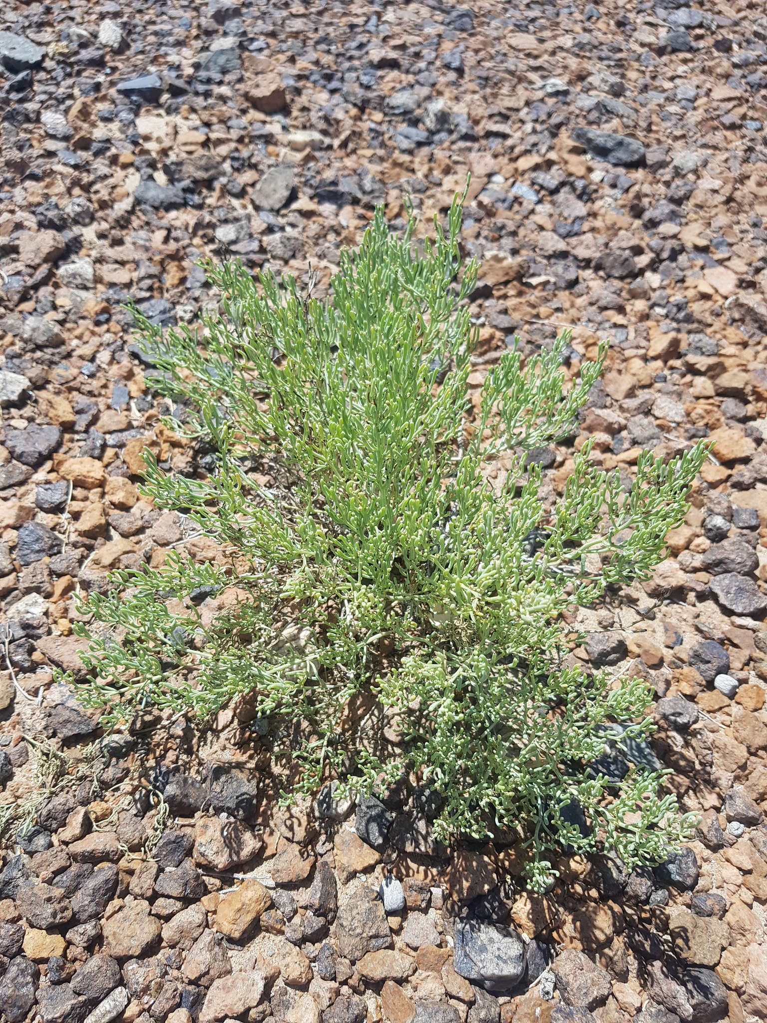 里脊肉怎么做好吃 里脊肉怎么做好吃